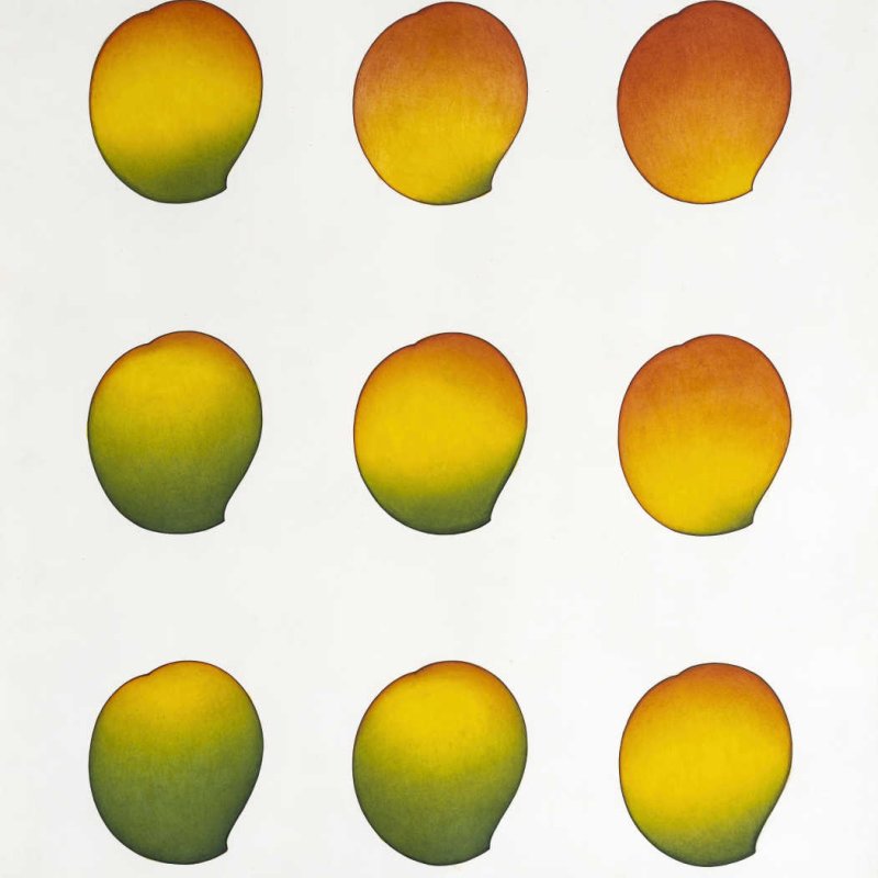 MANGO, 2023 • 21”x24” • Pigments & Arabic gum on handmade Sanganer paper